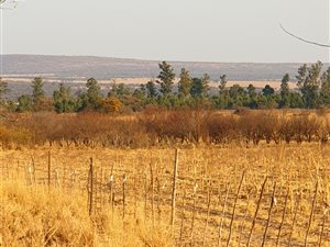 21.4 ha Farm in Modimole (Nylstroom)