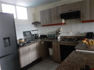 2.5 Bed House in South Beach