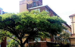 1 Bedroom Flat in Arcadia