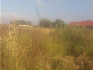 1307 m² Land available in Welgedacht