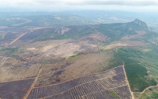 64 ha Land available in White River AH