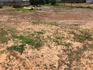 2.8 ha Land available in Meadowdale