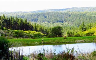 4793 m² Land available in Pezula Private Estate