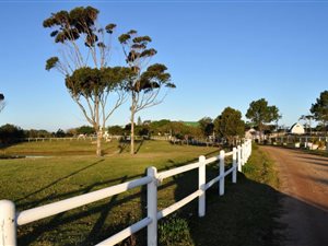 5 ha Farm in Plettenberg Bay