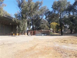 8.5 ha Farm in Diepsloot