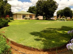 4.3 ha Farm in Bainsvlei