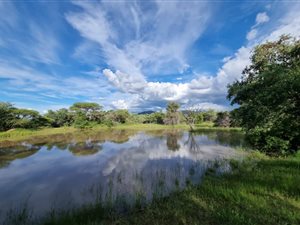500 ha Farm in Rooiberg