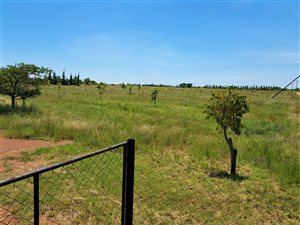 21 ha Farm in Boekenhoutskloof and surrounds