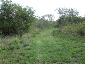 60 ha Farm in Nelspruit