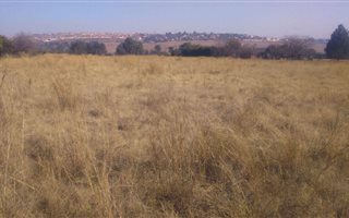 1 ha Land available in Seekoeiwater AH