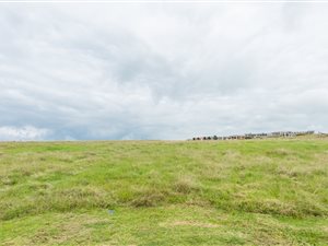1173 m² Land available in Oubaai and surrounds