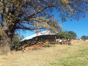 292.2 ha Farm in Kokstad