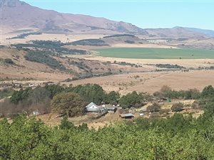 292.2 ha Farm in Kokstad