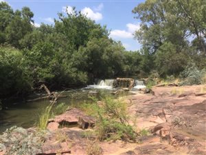 Game Farm in Dinokeng