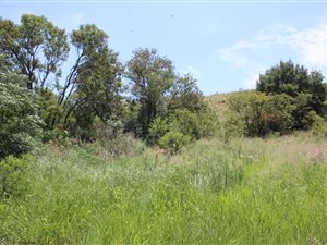 863 m² Land available in Cullinan