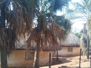 177.4 ha Farm in Louis Trichardt
