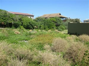 737 m² Land available in Pienaarstrand