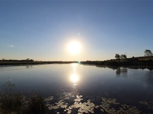 269.1 ha Farm in Bronkhorstspruit