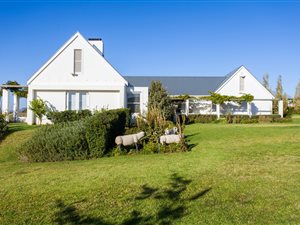 4 ha Farm in Stellenbosch Agricultural