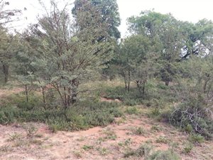 9562 m² Land available in Kameelfontein and surrounds