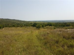 4.4 ha Farm in Tiegerpoort