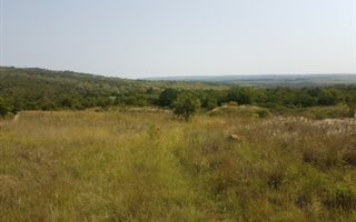 4.4 ha Farm in Tiegerpoort