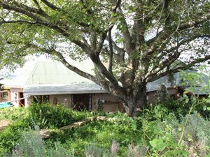 54 ha Farm in Grahamstown