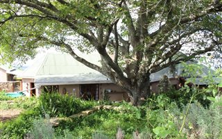 54 ha Farm in Grahamstown