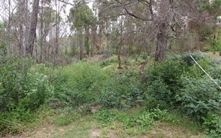 1199 m² Land available in Welbedacht