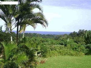 4.5 ha Land available in Anerley