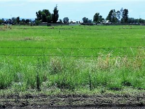 2.3 ha Land available in Boltonwold
