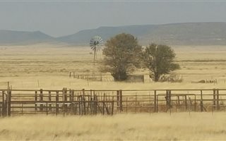 1282 ha Farm in Fauresmith