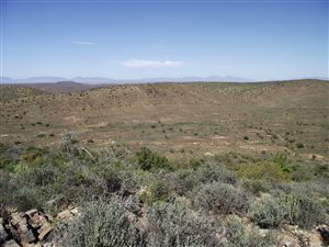 145 ha Farm in Ladismith