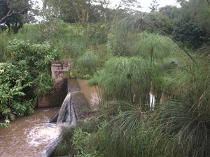3.5 ha Smallholding in Drummond