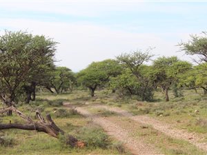 3763.2 ha Farm in Douglas