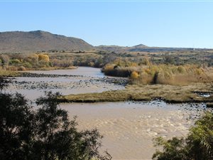 3497 ha Farm in Colesberg