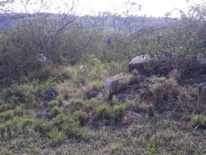 691 m² Land available in Gamalakhe A