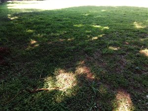 1846 m² Land available in Signal Hill