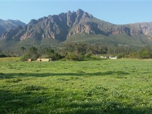 Farm in Northern Paarl