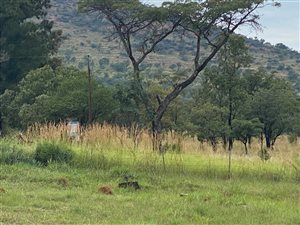 20.8 ha Farm in Donkerhoek AH