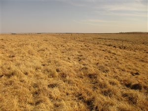 354 ha Farm in Lichtenburg