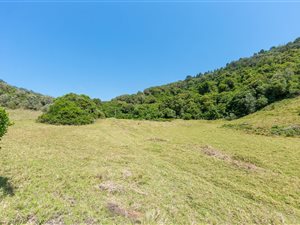 15.4 ha Farm in Victoria Bay