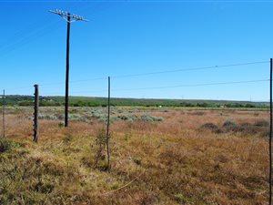 5 ha Farm in St Francis Bay