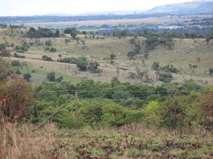 4 ha Farm in Tiegerpoort