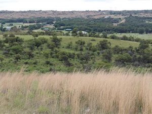 4 ha Farm in Tiegerpoort