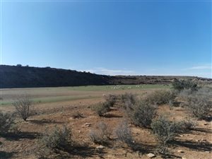 6919 ha Farm in Williston
