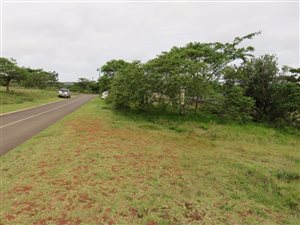 1254 m² Land available in Mtunzini