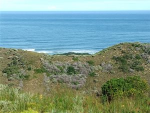 21.2 ha Farm in Brenton on Sea