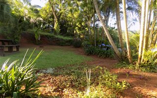 1000 m² Land available in Modjadjiskloof
