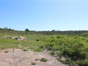 2675 m² Land available in Grahamstown